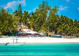 Beautiful beach with palm trees and turquoise water