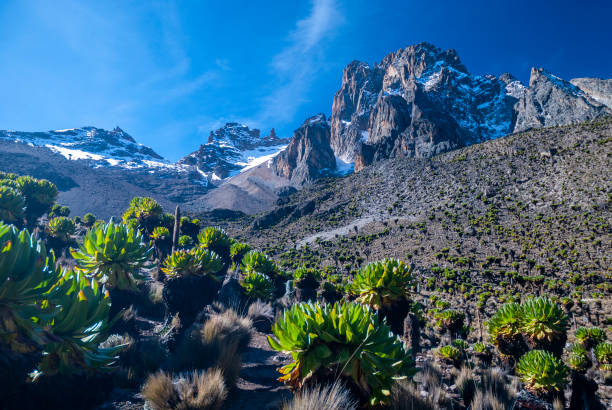 Group hiking in mountains with scenic view
